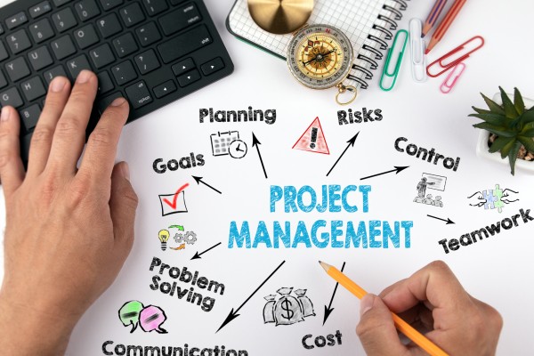 Manager proiect, cod COR 242101                                                                   